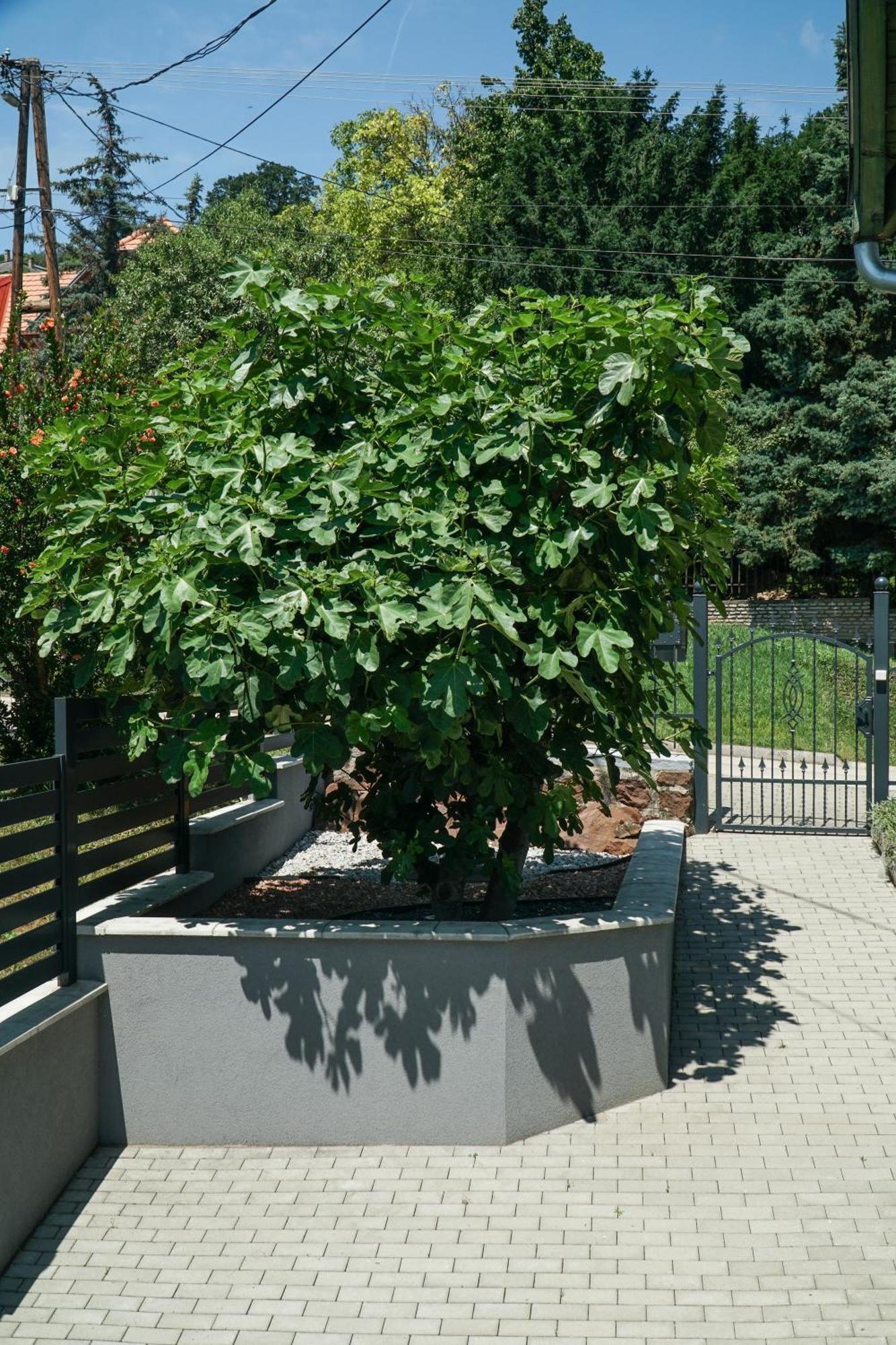 Fuegefa Apartman Balatonalmadi Exterior photo